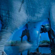 Illustration for article titled The 100 Most Astonishing Images of 2013